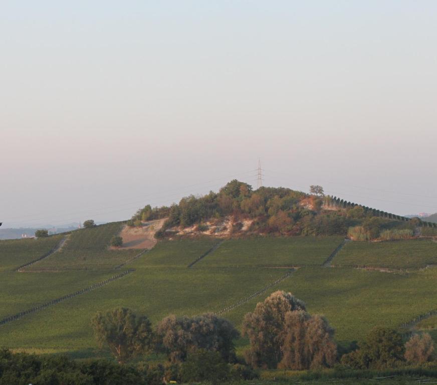 Villa Vecchio Castagnito Exteriér fotografie